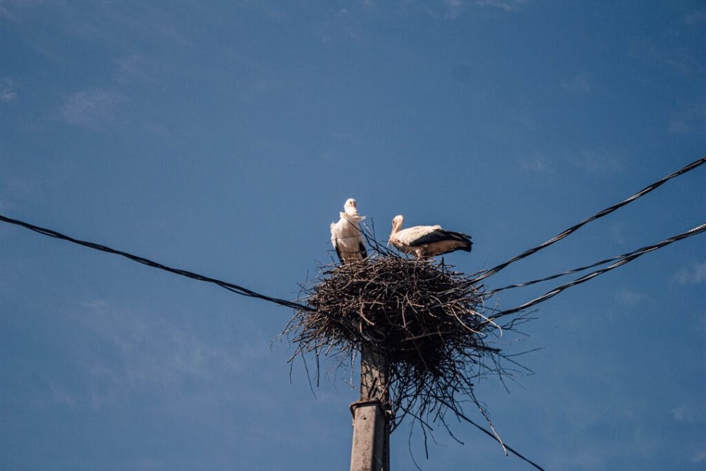 Photo Professional networking